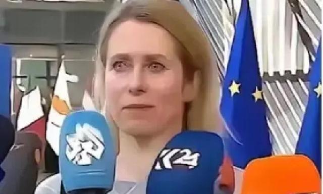 欧盟的官宣再次震惊了全世界：从今年开始，一切与中国有关的科研机构，都将没有资格参