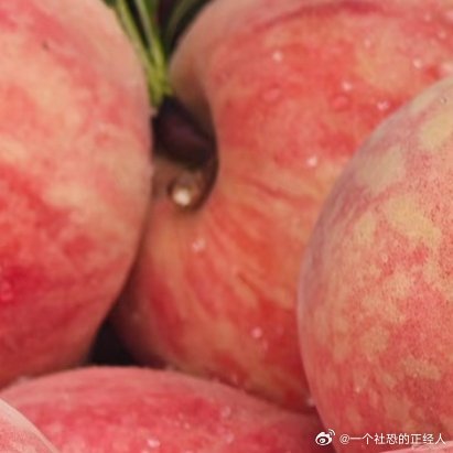 微公益种植今日份的科普：桃子种植小方法🧐1️⃣建园定植➡️选择排水良好、土层深