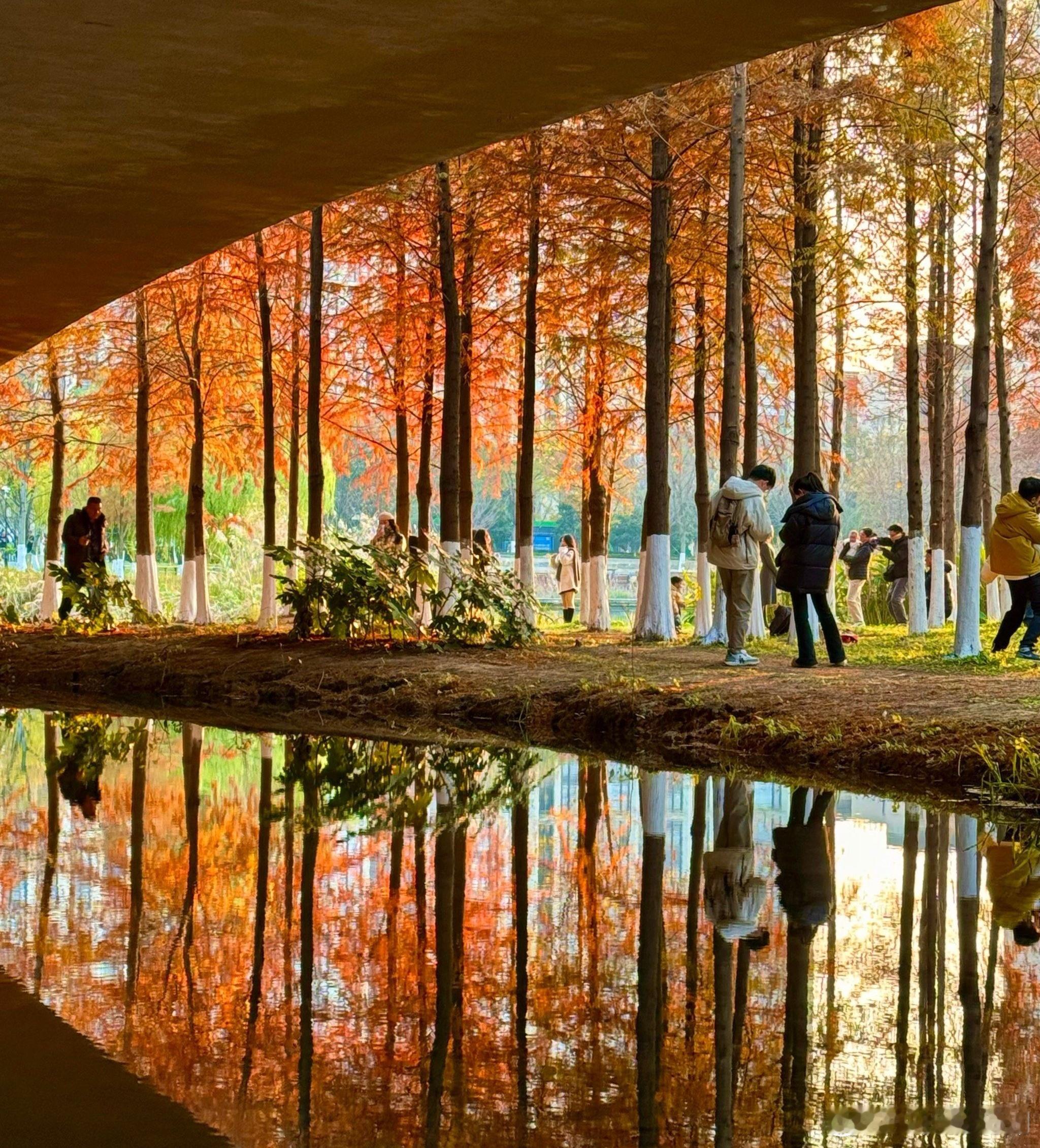 心里话        努力不一定有收获，不努力那一定是一无所获的。    