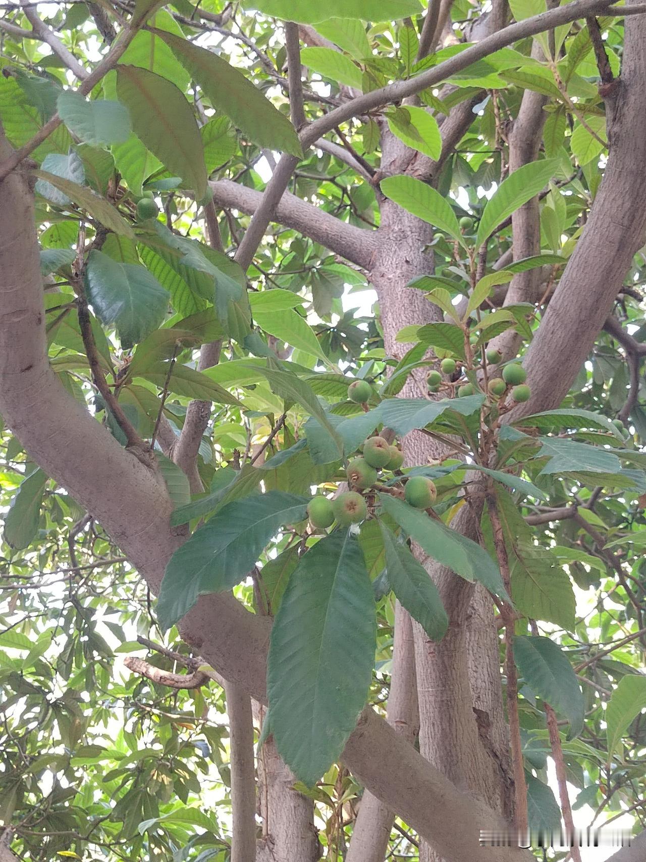 父母老了去养老院生活好不好?
前些天，朋友把老爸送进了养老院！
朋友姊妹三个。