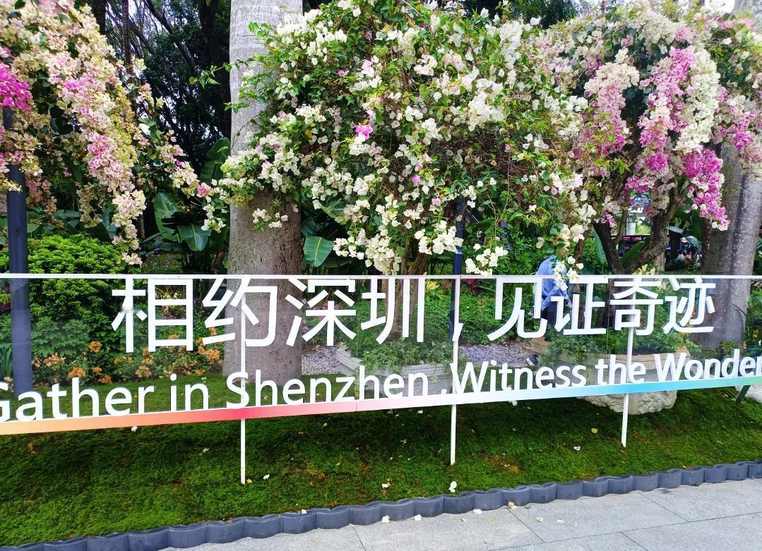 见证奇迹，独木成林微小改变即奇迹 明天的奇迹 生命最初的奇迹 命中注定的奇迹 生