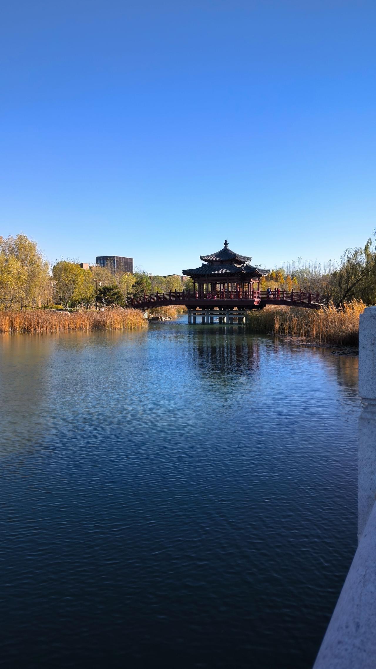 ：冬至来临霜意狂，落叶凝霜，风瑟瑟，野茫茫，随处可见枯草黄！