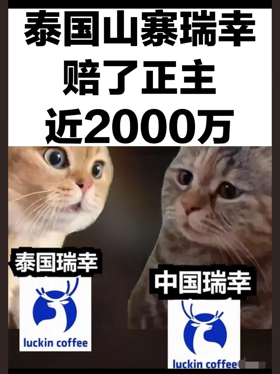 泰国山寨瑞幸终于被收拾了
