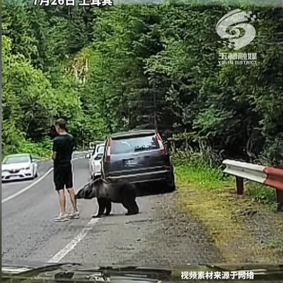 “吓死个人！”7月28日报道，土耳其，一男子在路边遇到了棕熊袭击，干脆站在原地不