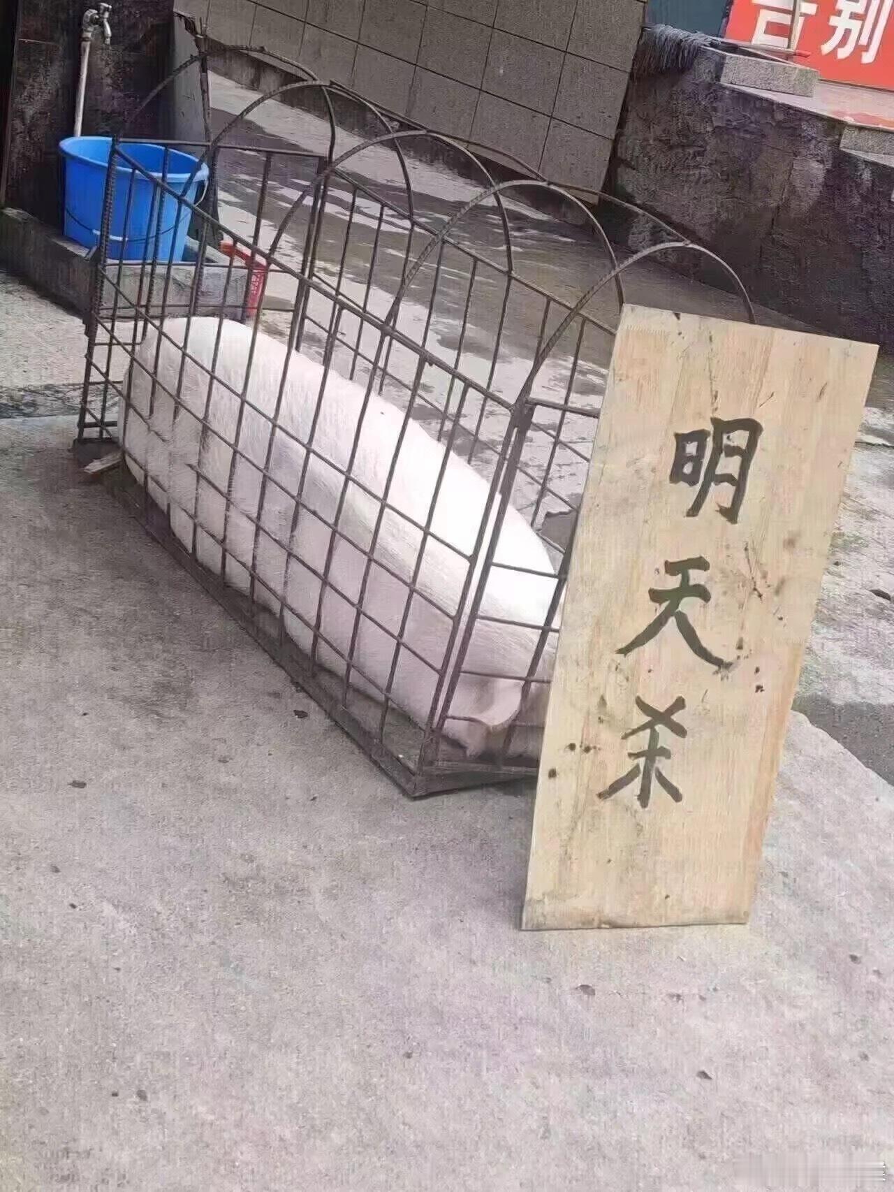 当前状态 