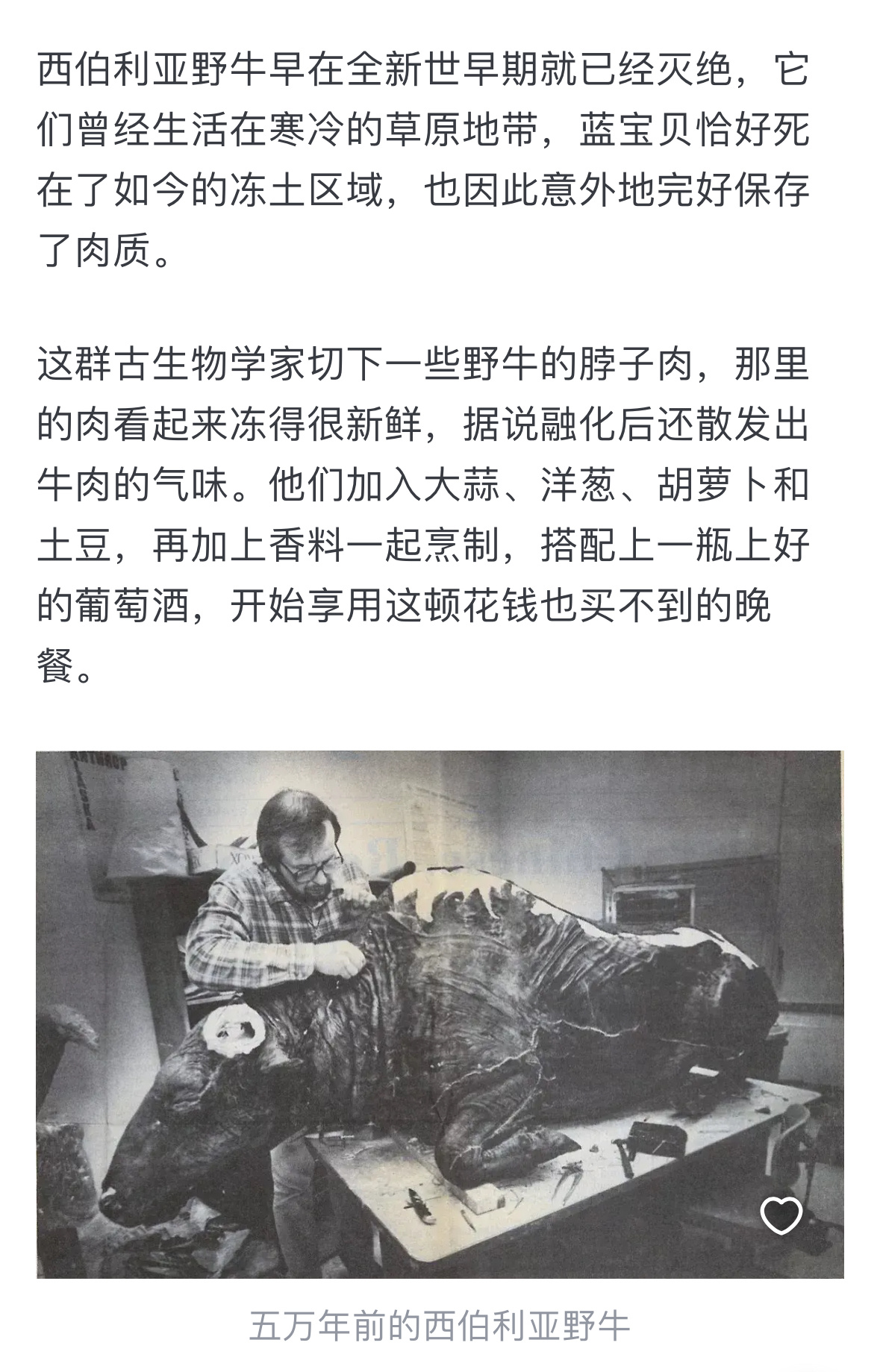 2035年的菜单也太野了吧！猛犸象肉干自带孜然香，食物打印机现场印牛排，这哪是未