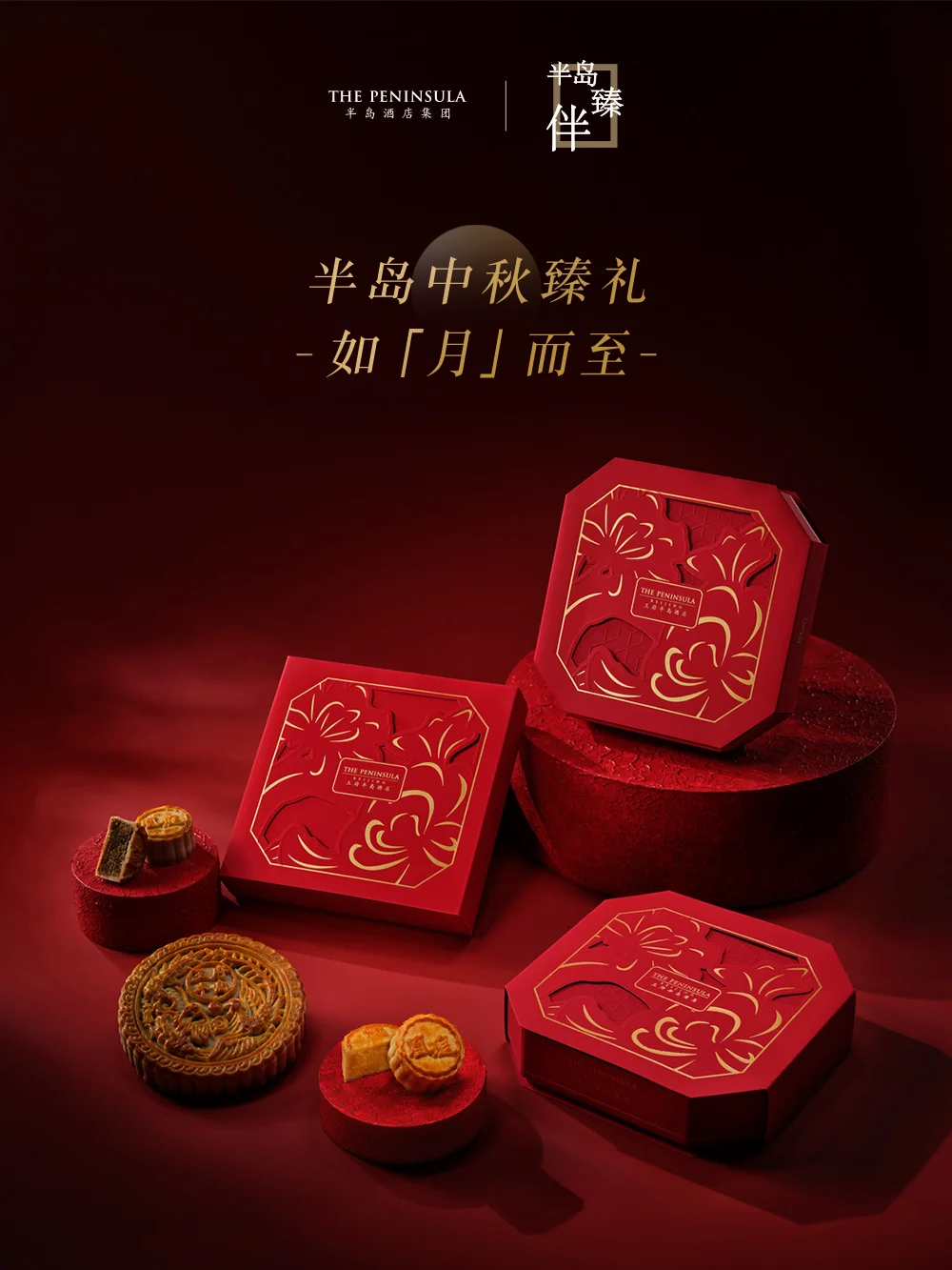 半岛月饼季🥮 | 月圆之下，品味团圆