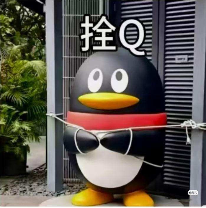 台风天的基操是捆绑吉祥物。为什么捆猫不捆淘 