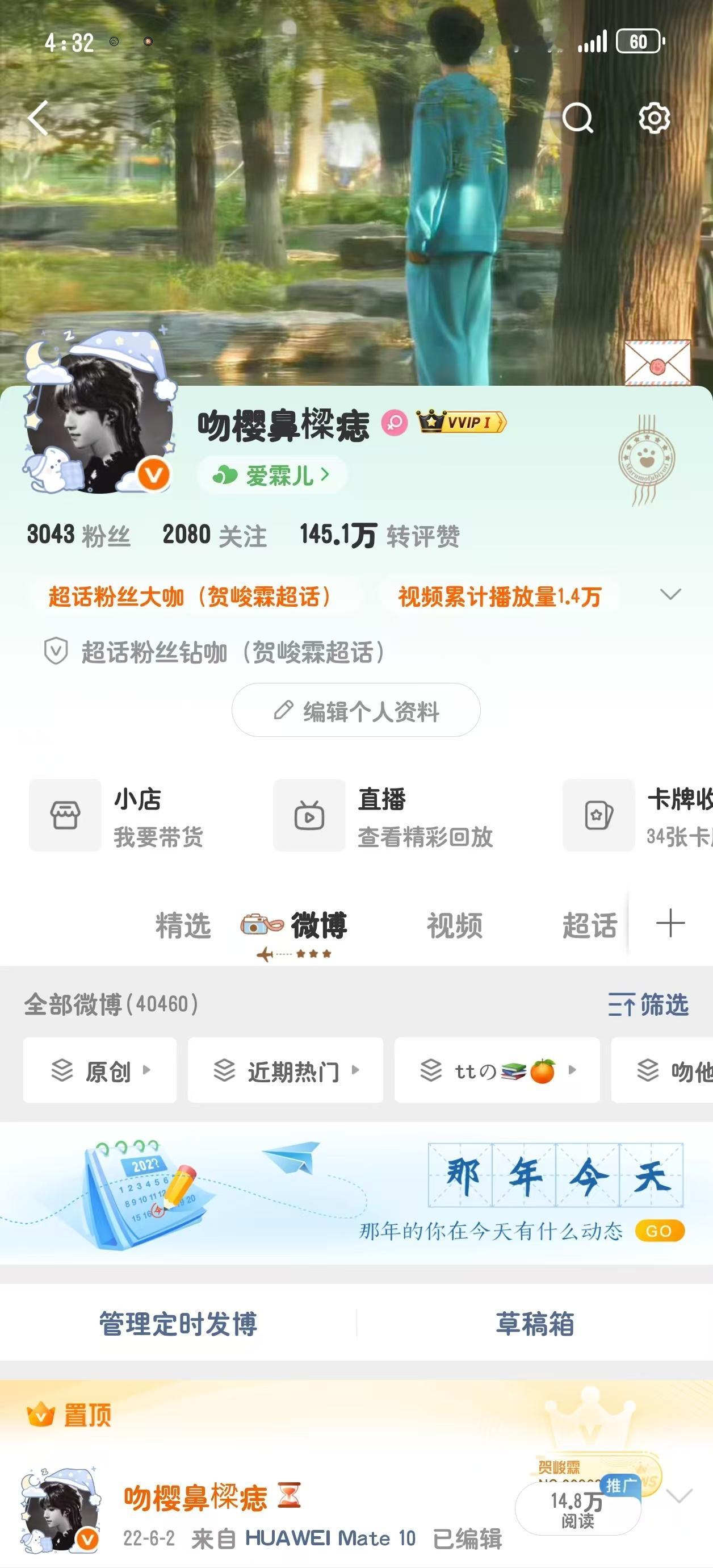 如此权威的头像和大🐘一起用