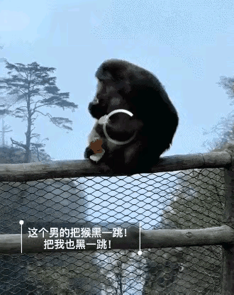 扒开那只猴子的爪子，你看它在发抖。
不是怕摔，是怕眼前这个推它的男人——跟它无冤