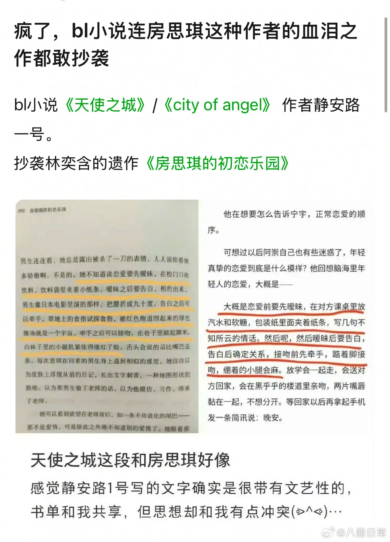 BL小说《City of Angels》（天使之城）中有一段被指抄袭《房思琪的初