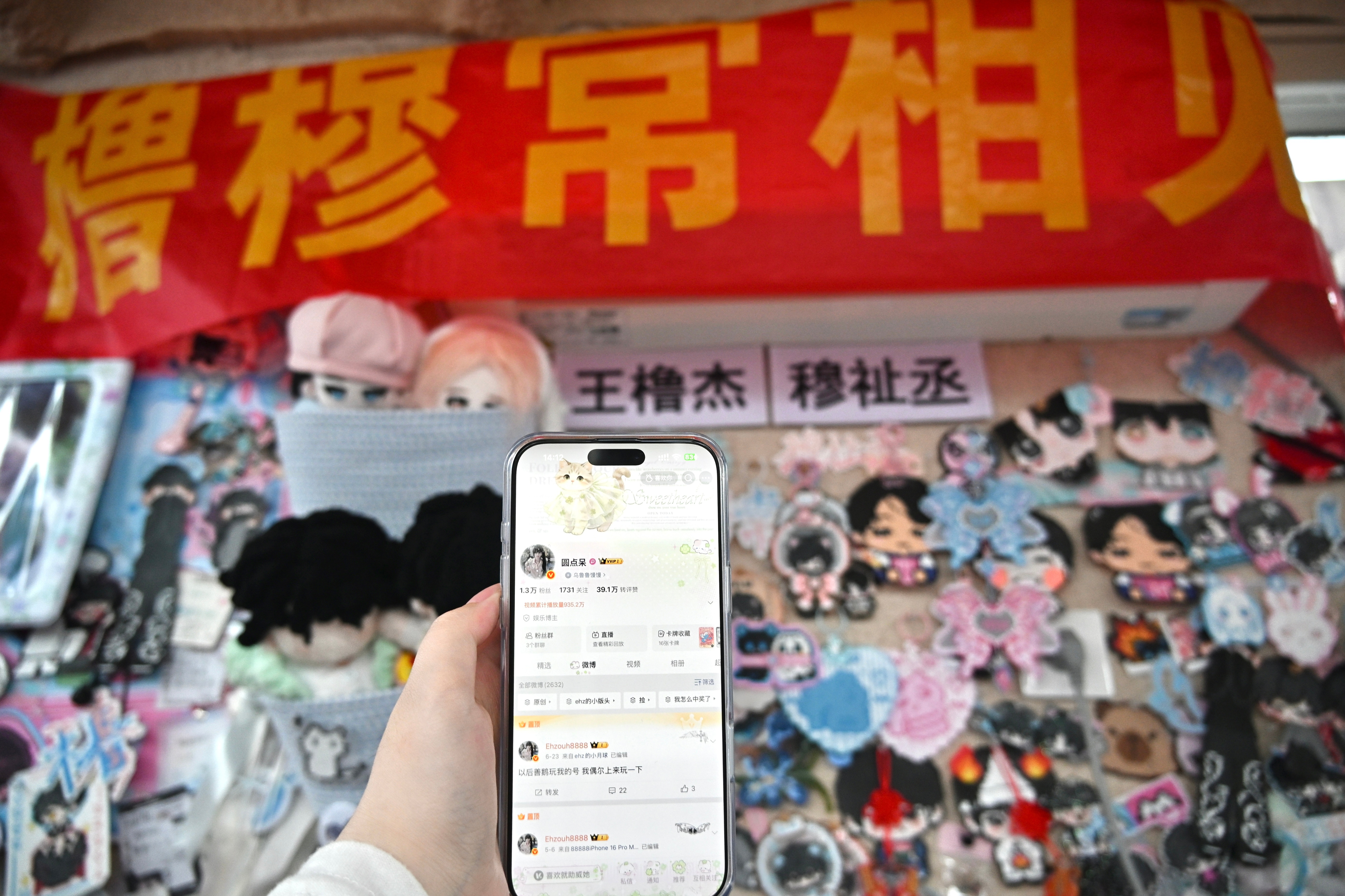 🐱很好 