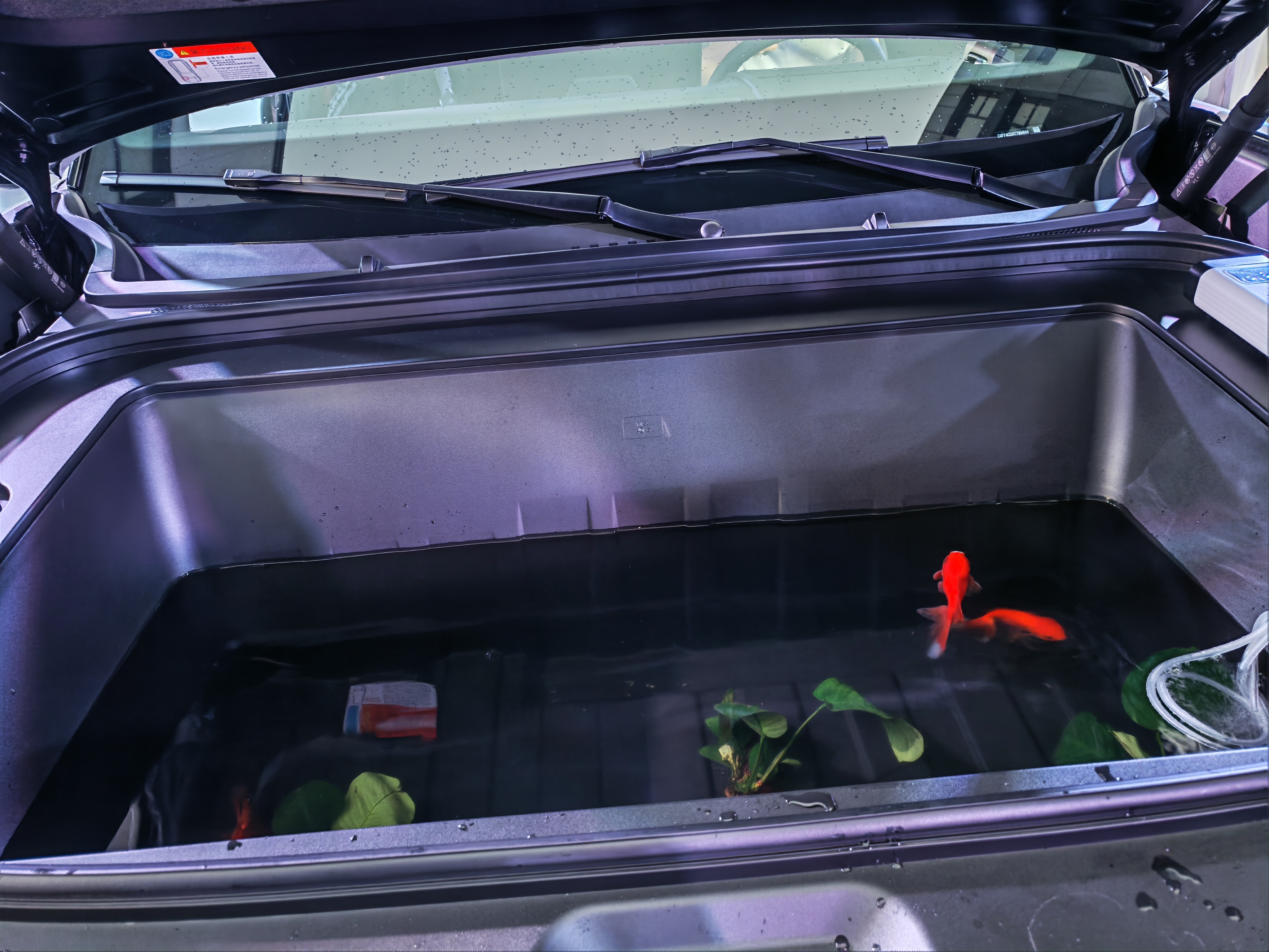 钛7EV闪充版，这边样车居然在养鱼