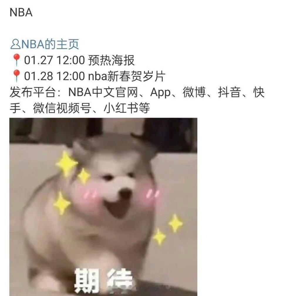 任嘉伦 NBA新春贺岁片！又会打球又会解说