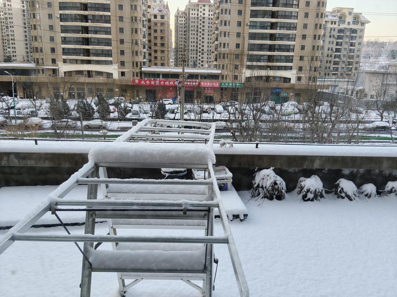 嘉靖帝有多么不得人心？


嘉靖帝是由外藩入统继承帝位的，因为是小宗入继大宗，所