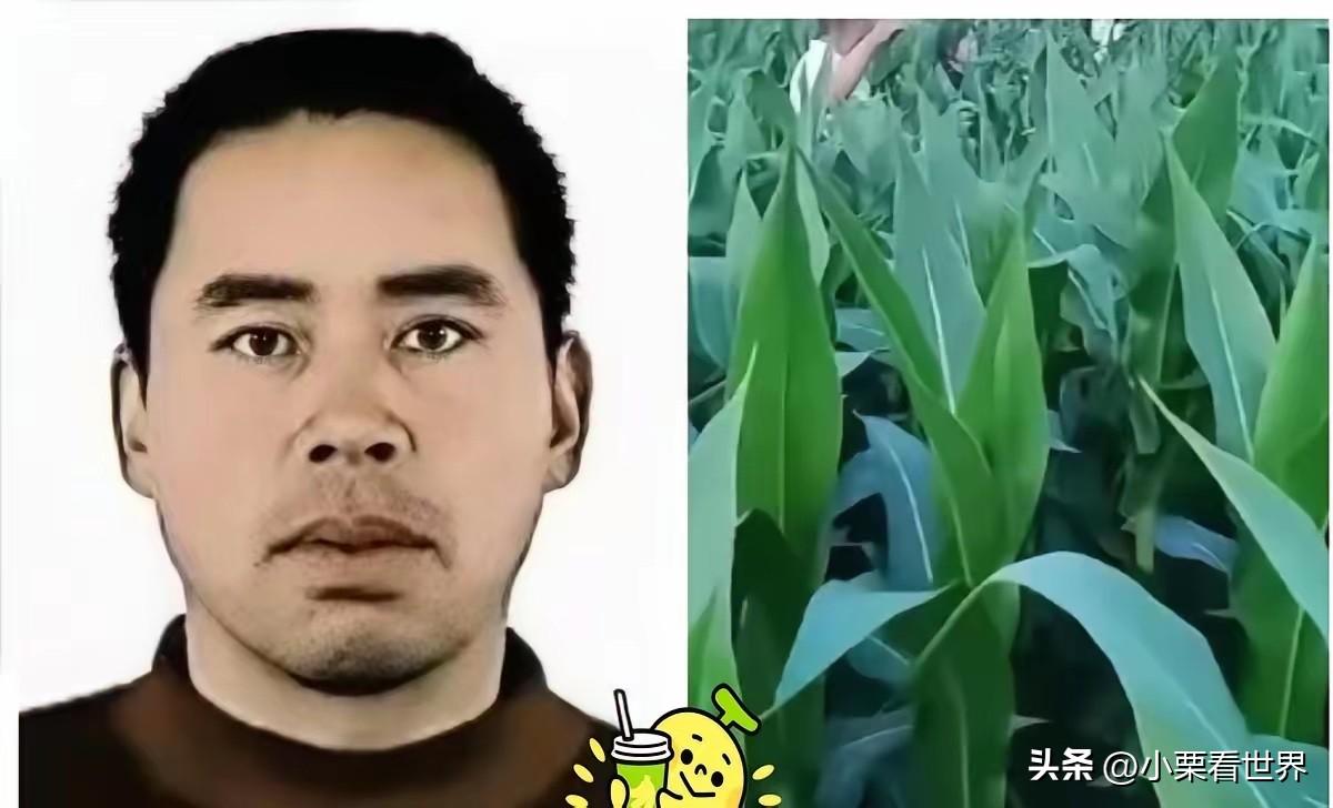 玉米地翻了个底朝天，连根野兔毛都没找着。
警犬明明把他引到了废弃厂房门口，可搜捕