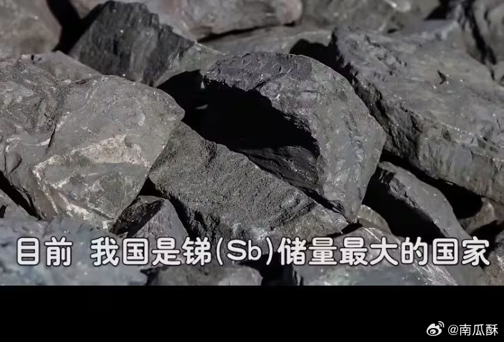 哈哈哈哈哈哈 逗大殖子玩真的乐