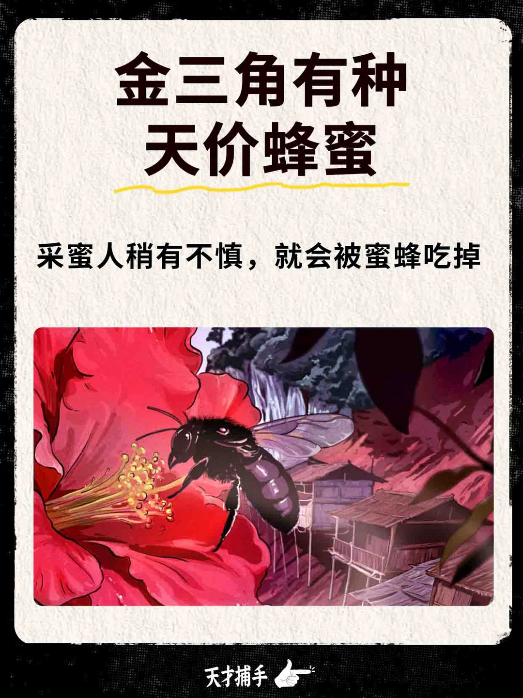 你见过这种天价蜂蜜吗？