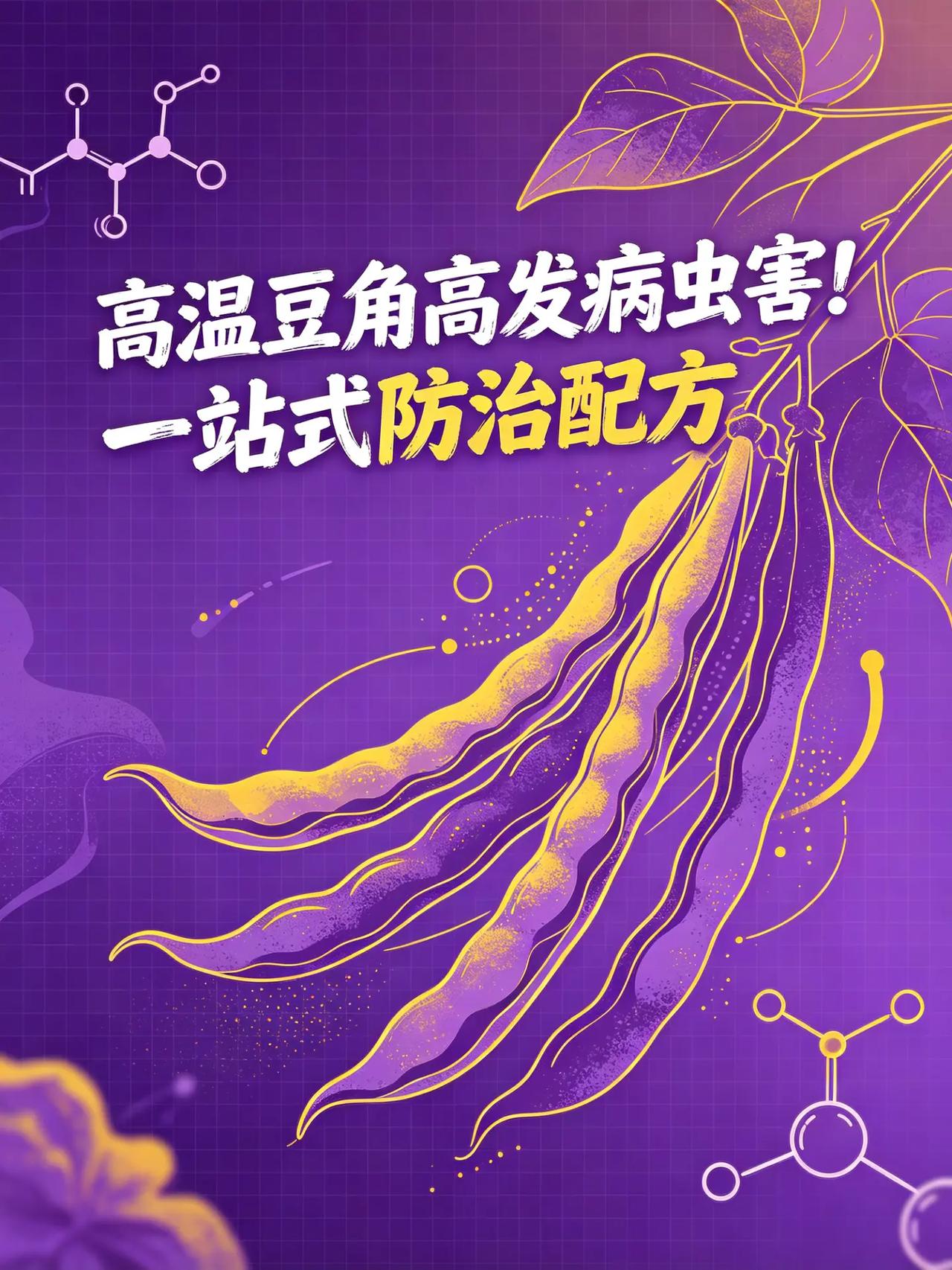 高温豆角高发病虫害，一站式解决配方！。高温 豆角
