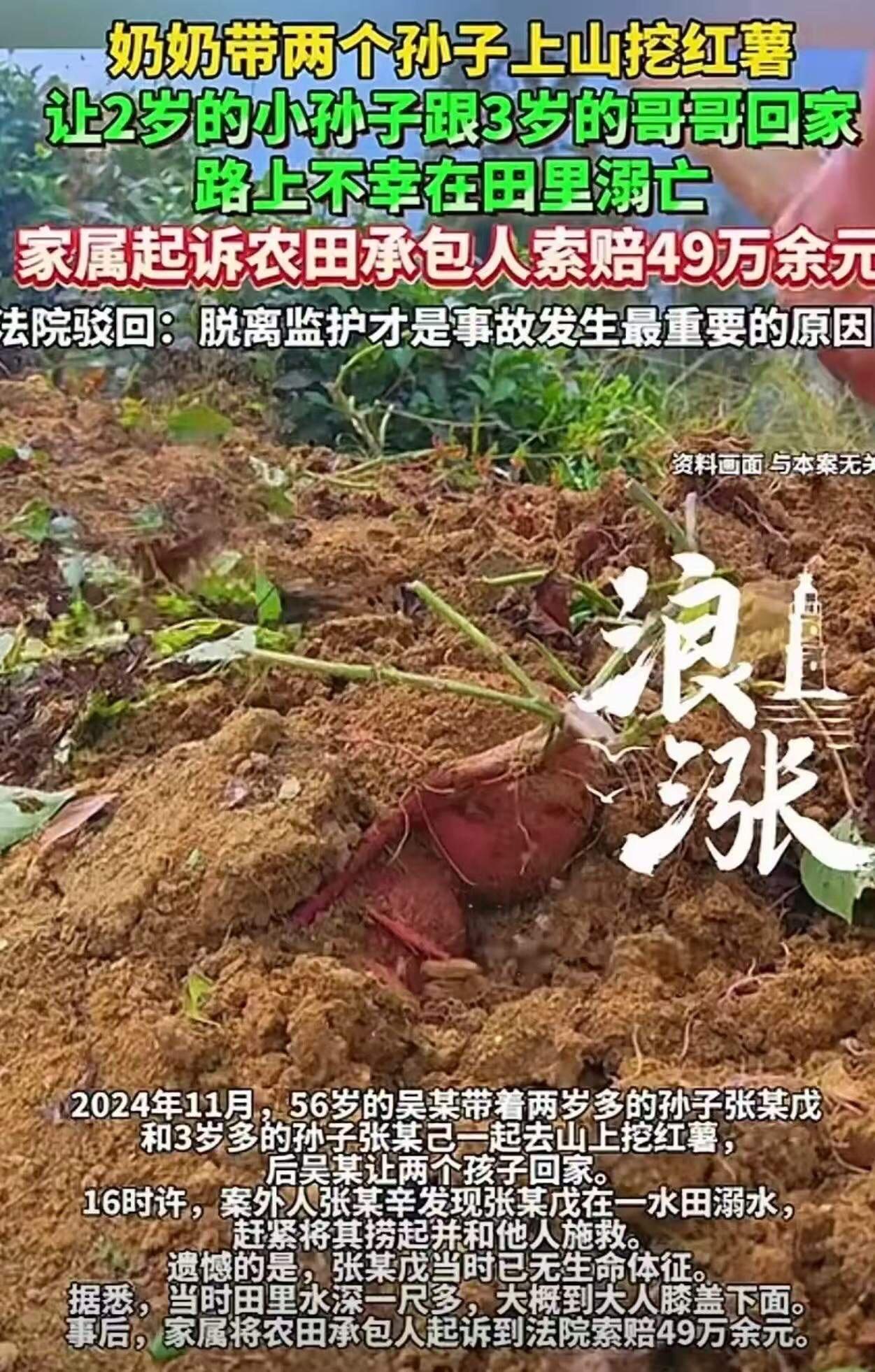 “讹人讹地讹空气！”这句网络热词，似乎成了这起悲剧的注脚。56岁的大妈带着两个孙