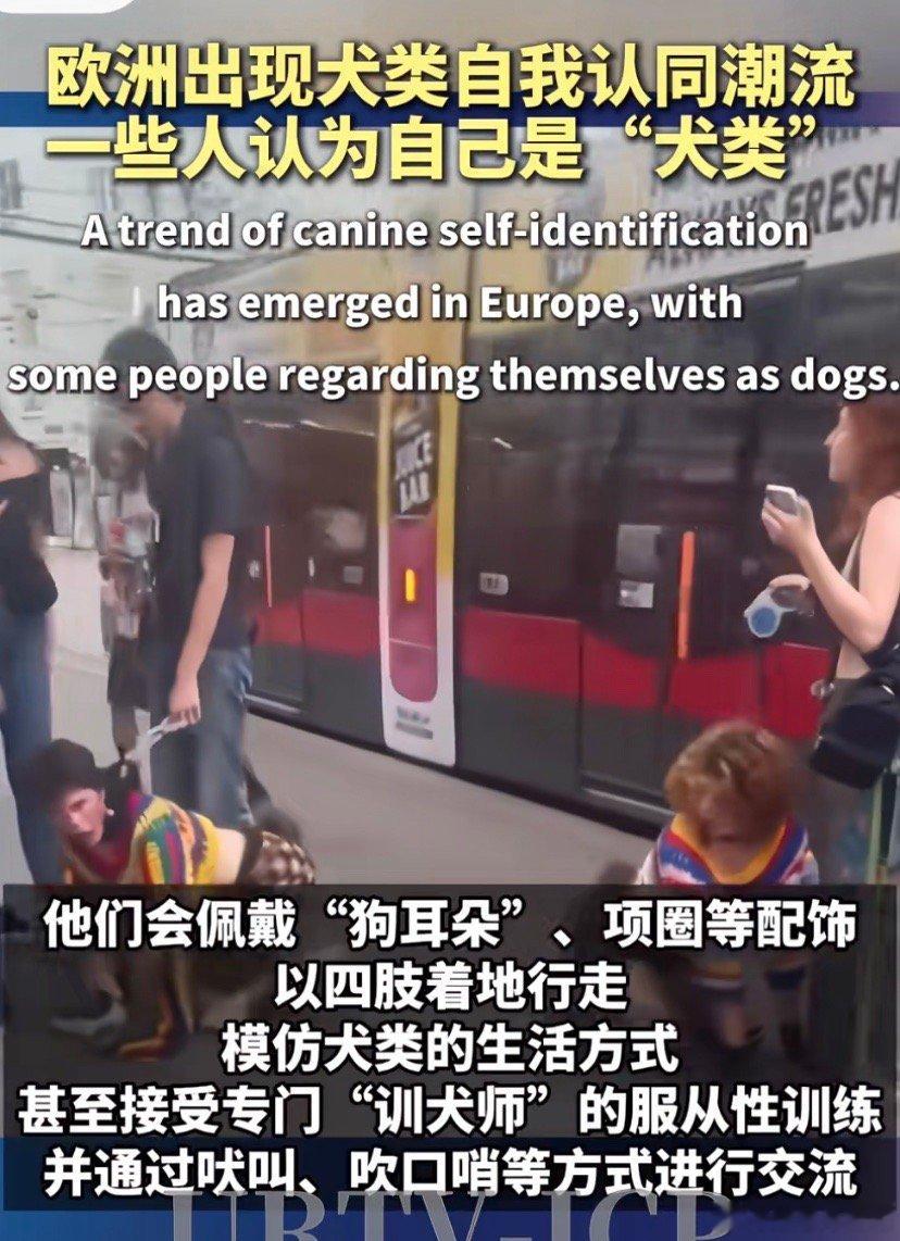 大力推广这种SM与Lgbt，gays什么也是坏人的服从性测试与返祖测试。可像有些