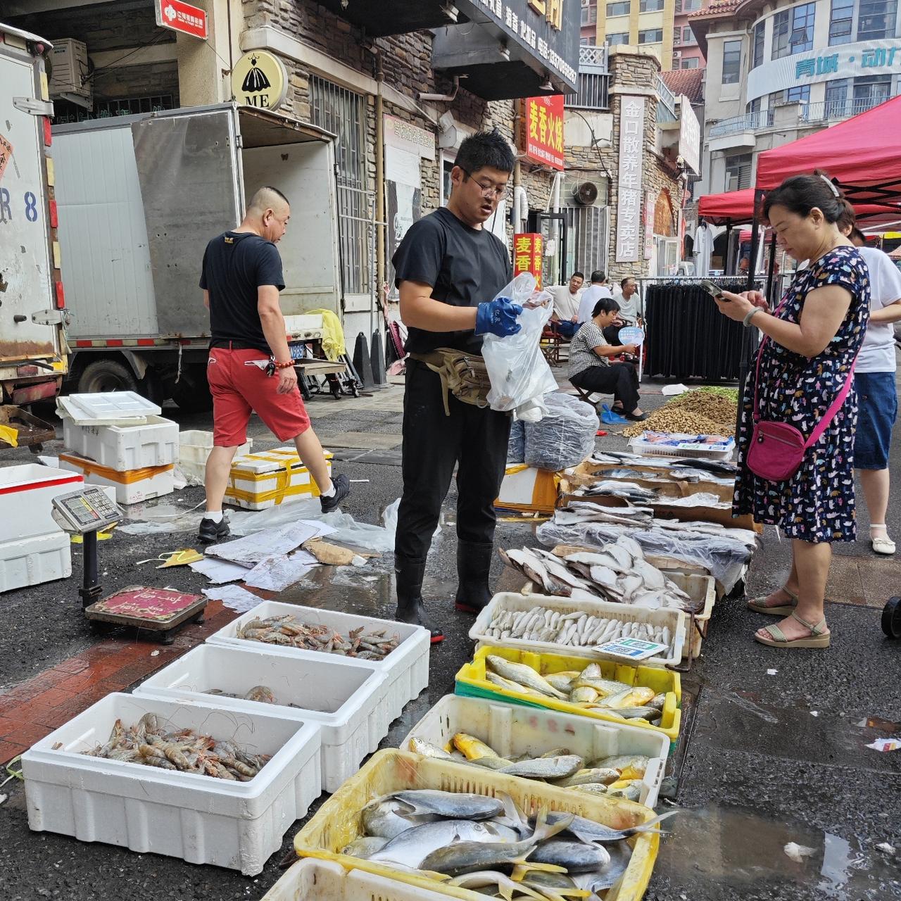 坐标♀青岛，看看今天（入伏第二天），海产品市场上的海鲜价格又是如何？
今天海产品