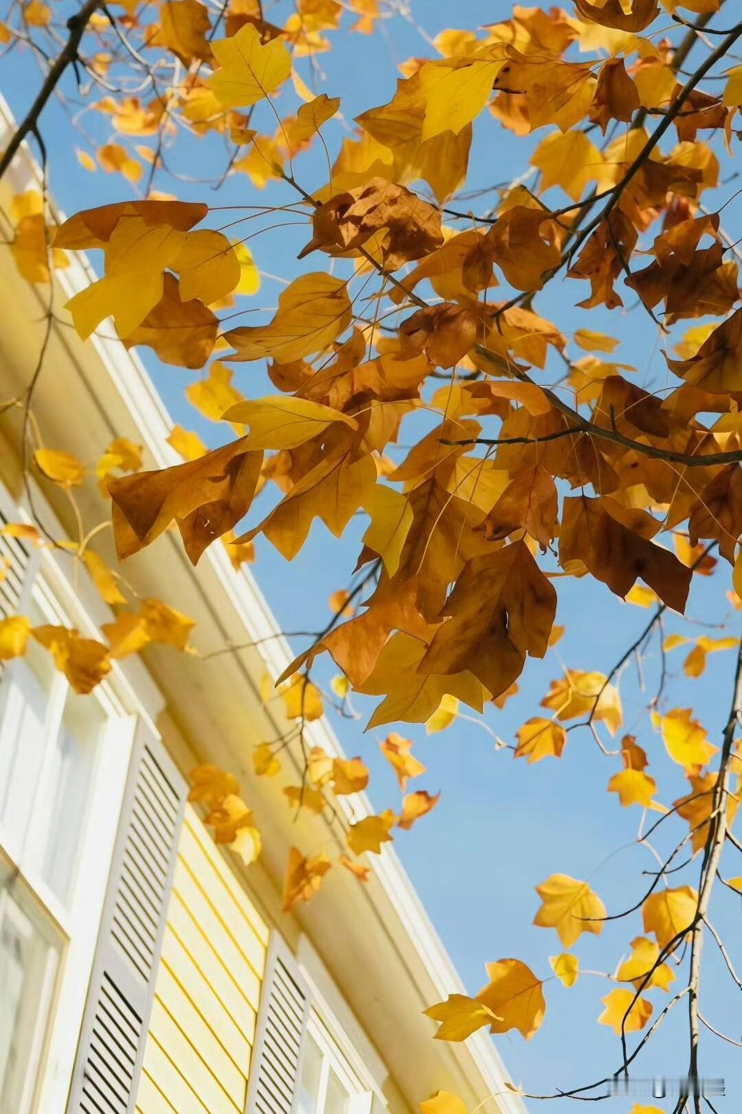 冬日生活打卡季