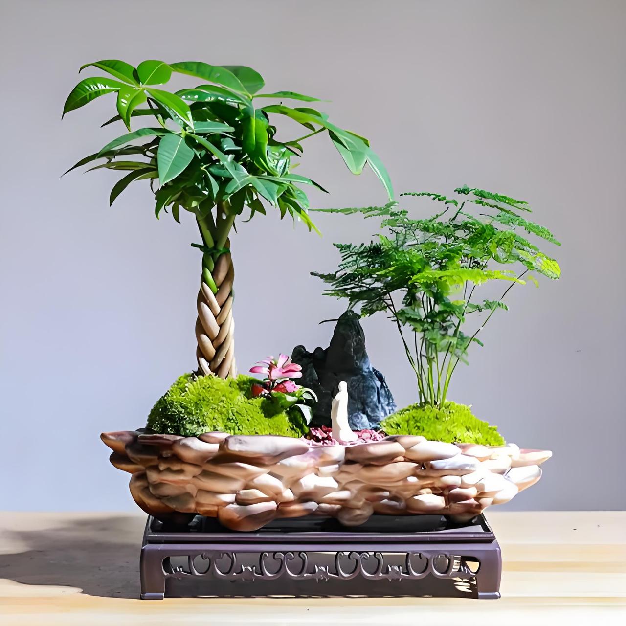 年后绿植新趋势：把微缩园林搬回家，精致生活藏方寸
年后居家绿植迎来旺季，从做电商