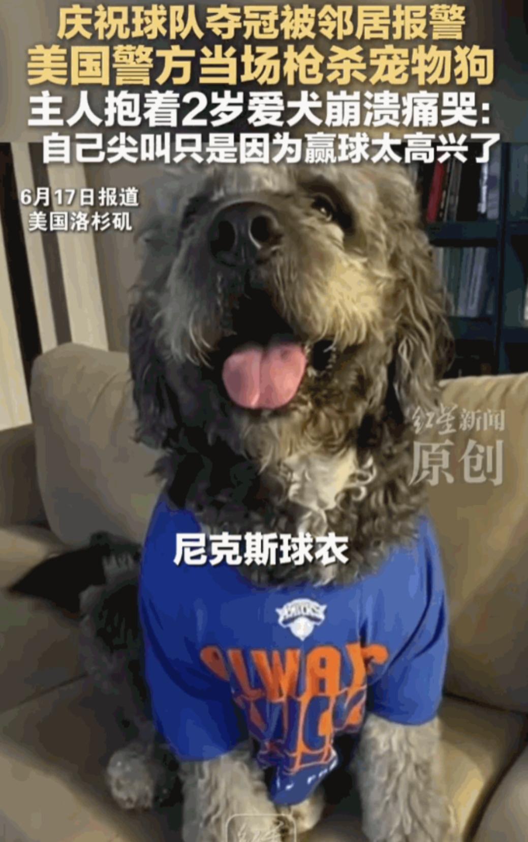 “乐极生悲！”美国洛杉矶，一场等了足足53年的冠军狂欢，最终却让一个女孩的世界彻
