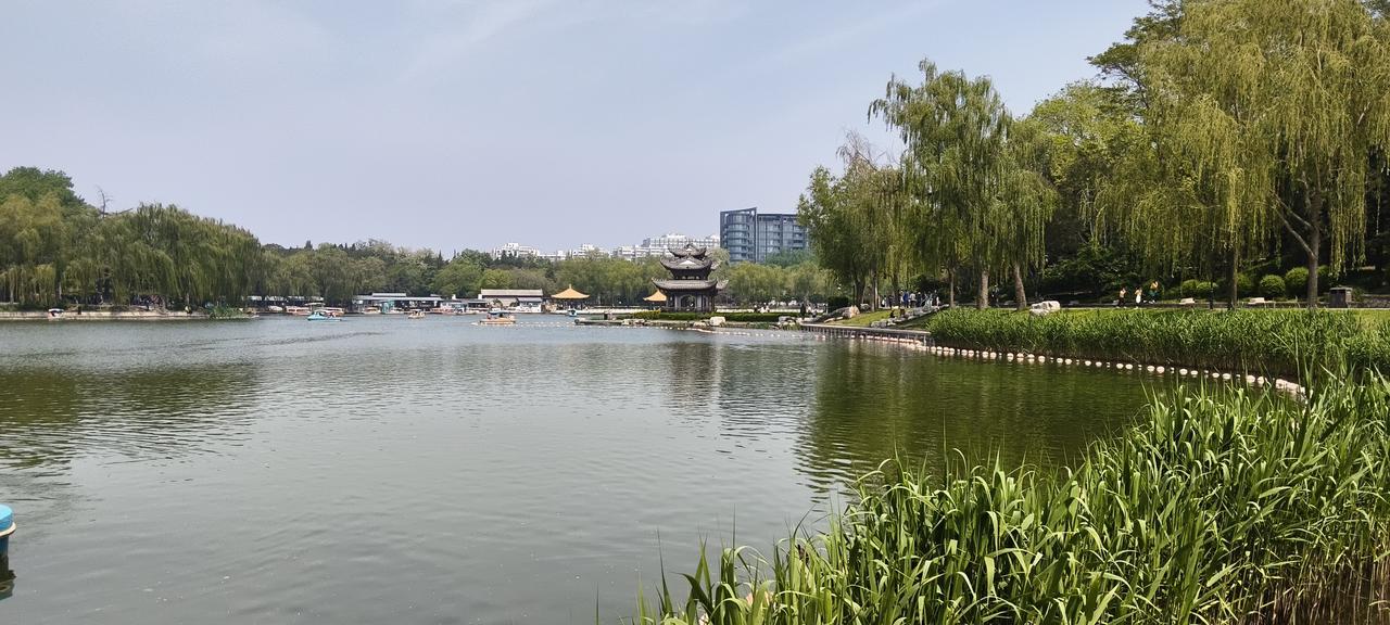 春日生活打卡季 春日里去陶然亭打卡，那月季花简直绝了！一进园子，就能闻到阵阵花香