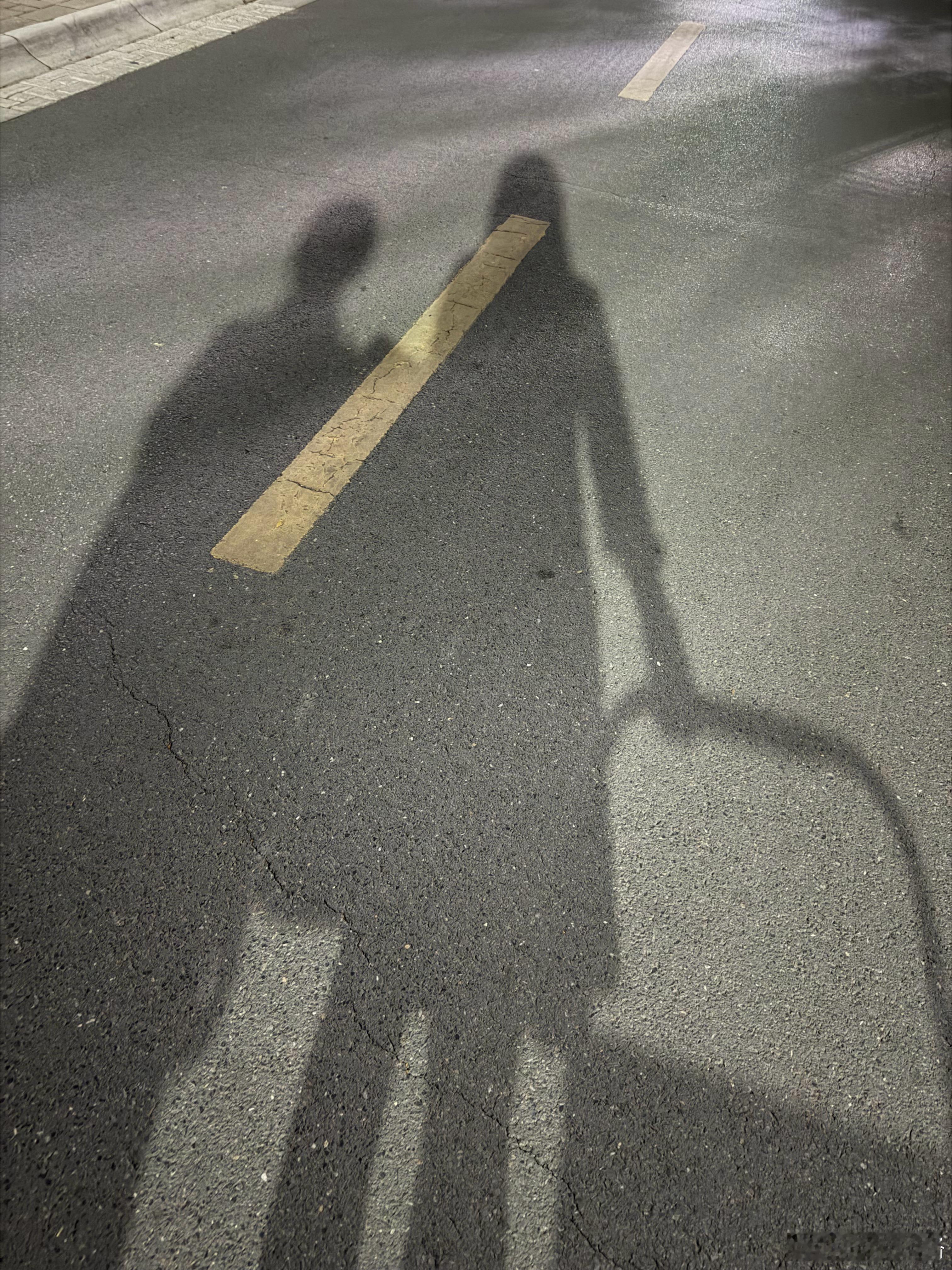 现在，只有我一开口跟初中生辩论，她便嘲讽我是个乌龟精，我想，幸亏她不知道蛤蟆这种