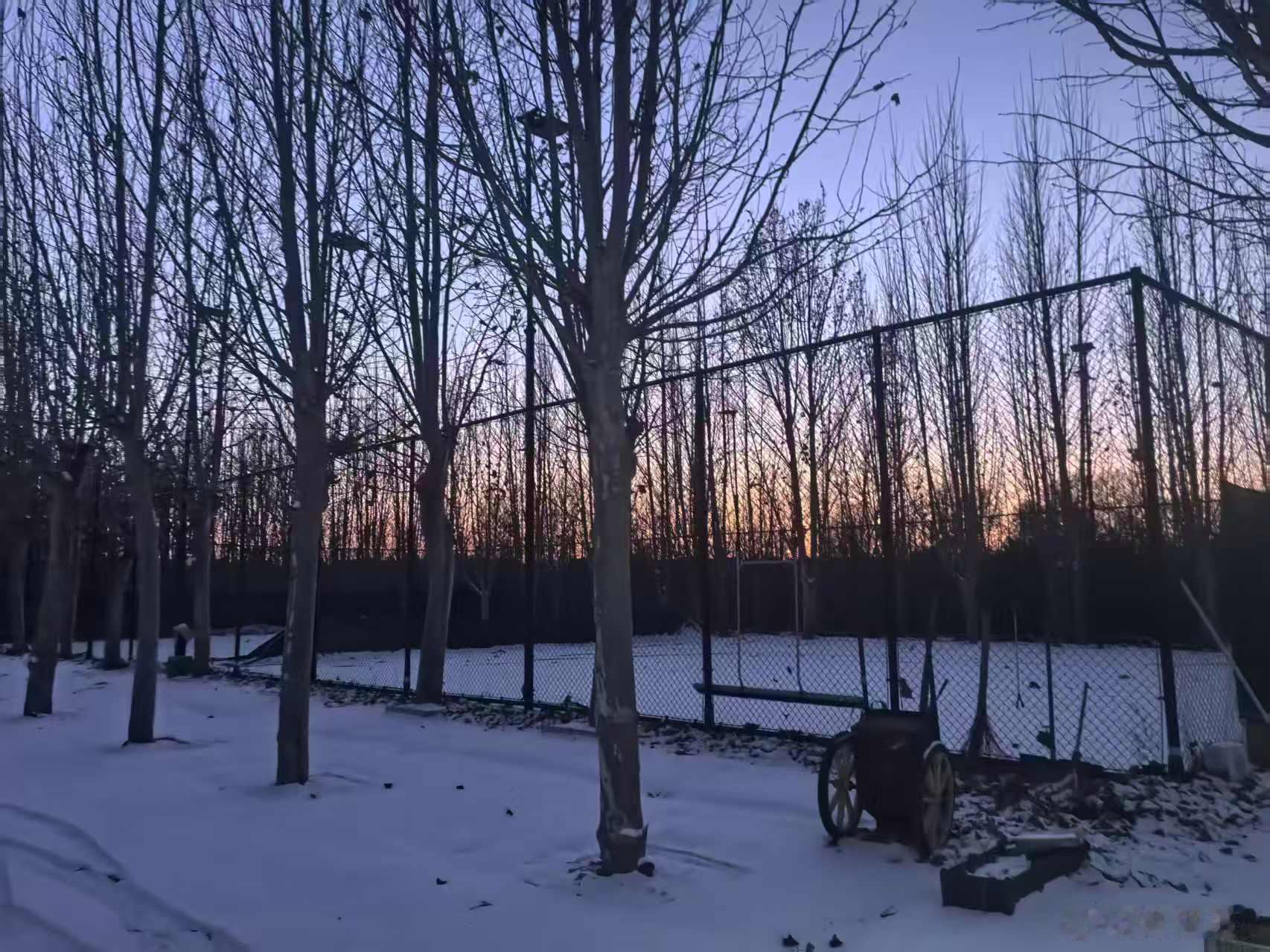 大雪封场（图1)，昨天停训。今天顺义凤凰红土俱乐部场主王行带着自己的孩子进行了扫