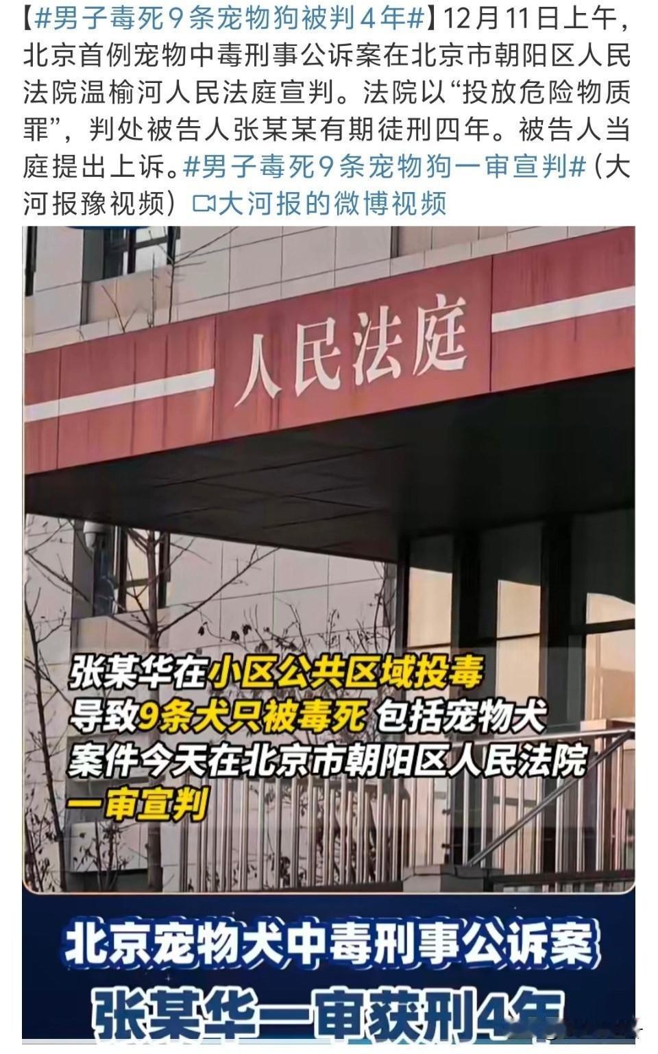 12月11日，北京。“男子毒死9条宠物狗案”狗主人告诉@大河报 记者，该案一审今