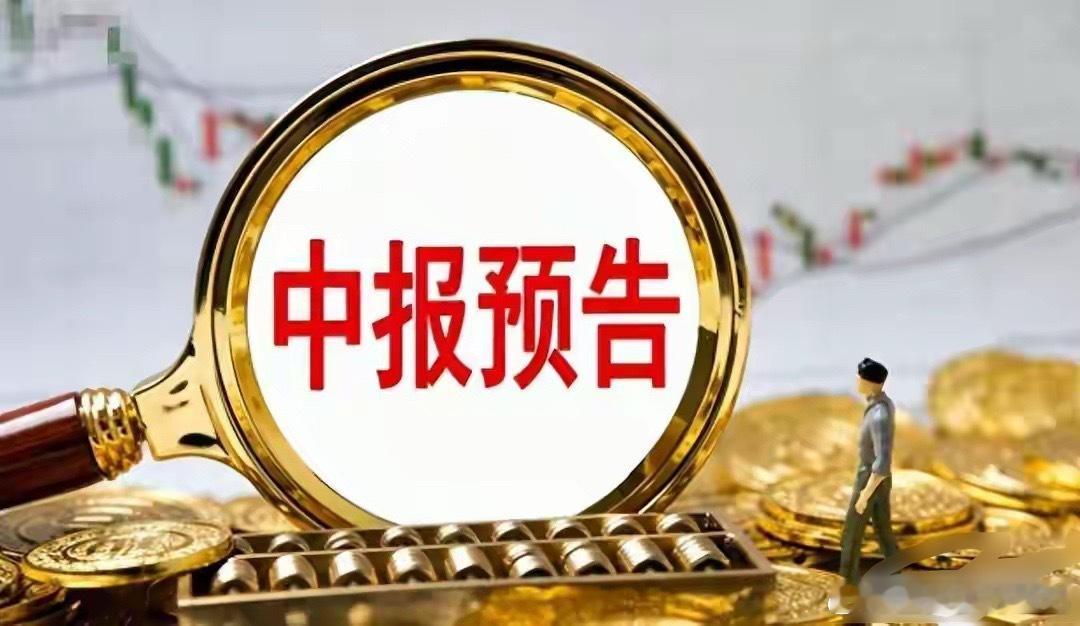 4家“压哨”中报预告出炉：赛诺医疗净利暴增263%，嘉必优亏超1亿昨晚九点多，沪