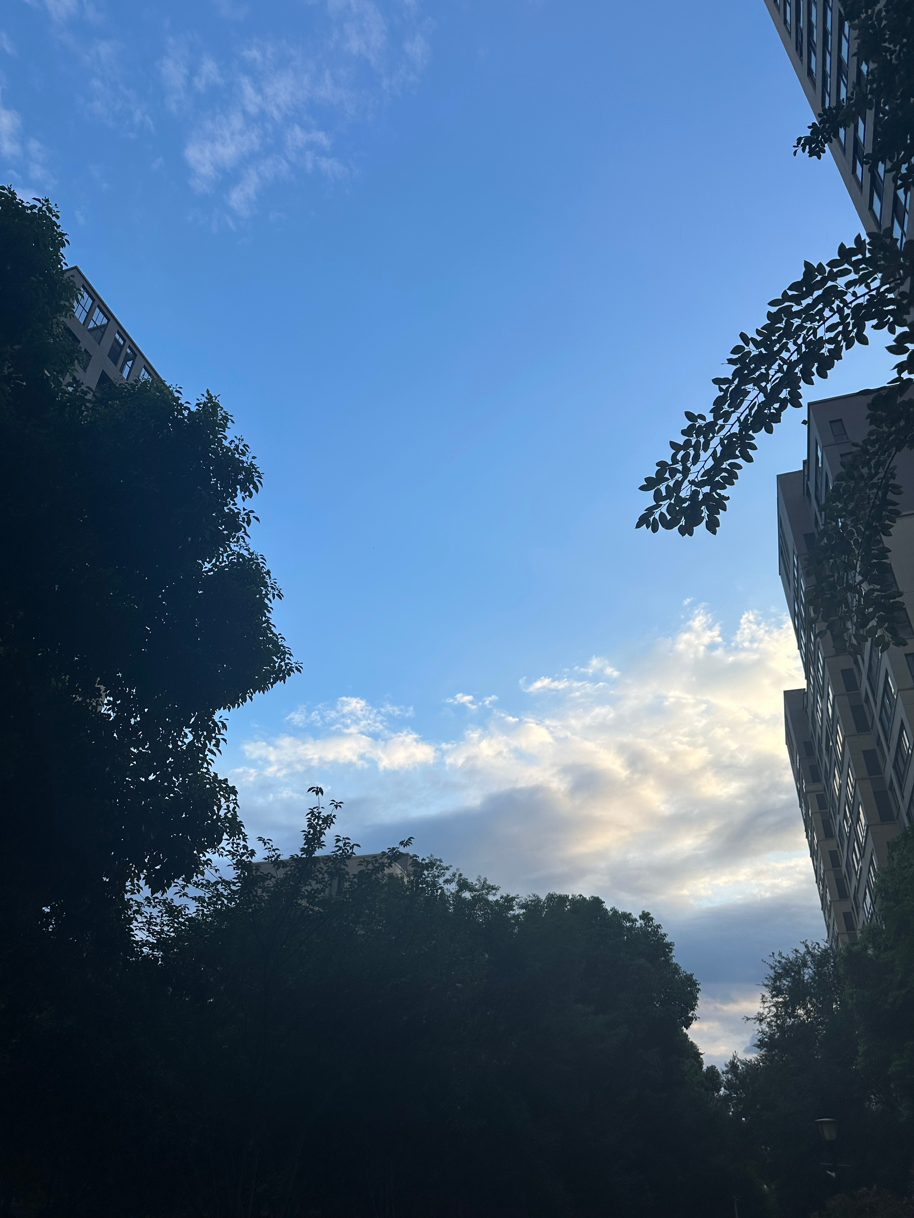 大雨还要下多久 图一是昨晚雨后的天空，图二是今早的南京城，乌云☁️压顶 ​​​