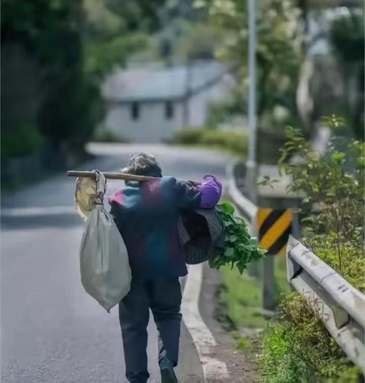 懒字毁一生，勤字开天地，你认同吗？
【勤奋胜于懒惰】懒惰不仅会毁掉自己，还可能连