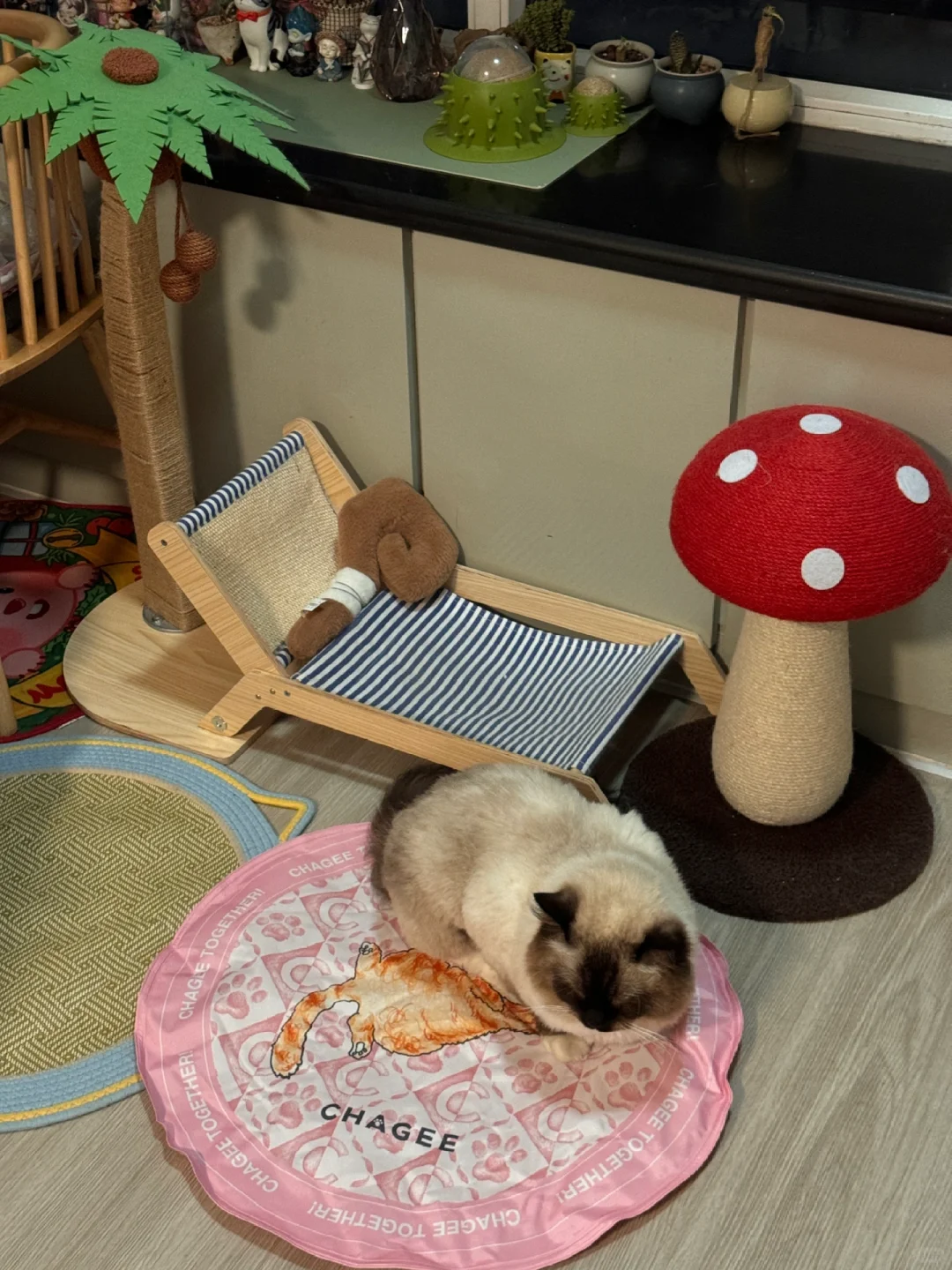 霸王茶姬宠物冰垫你家猫宝拥有了吗！