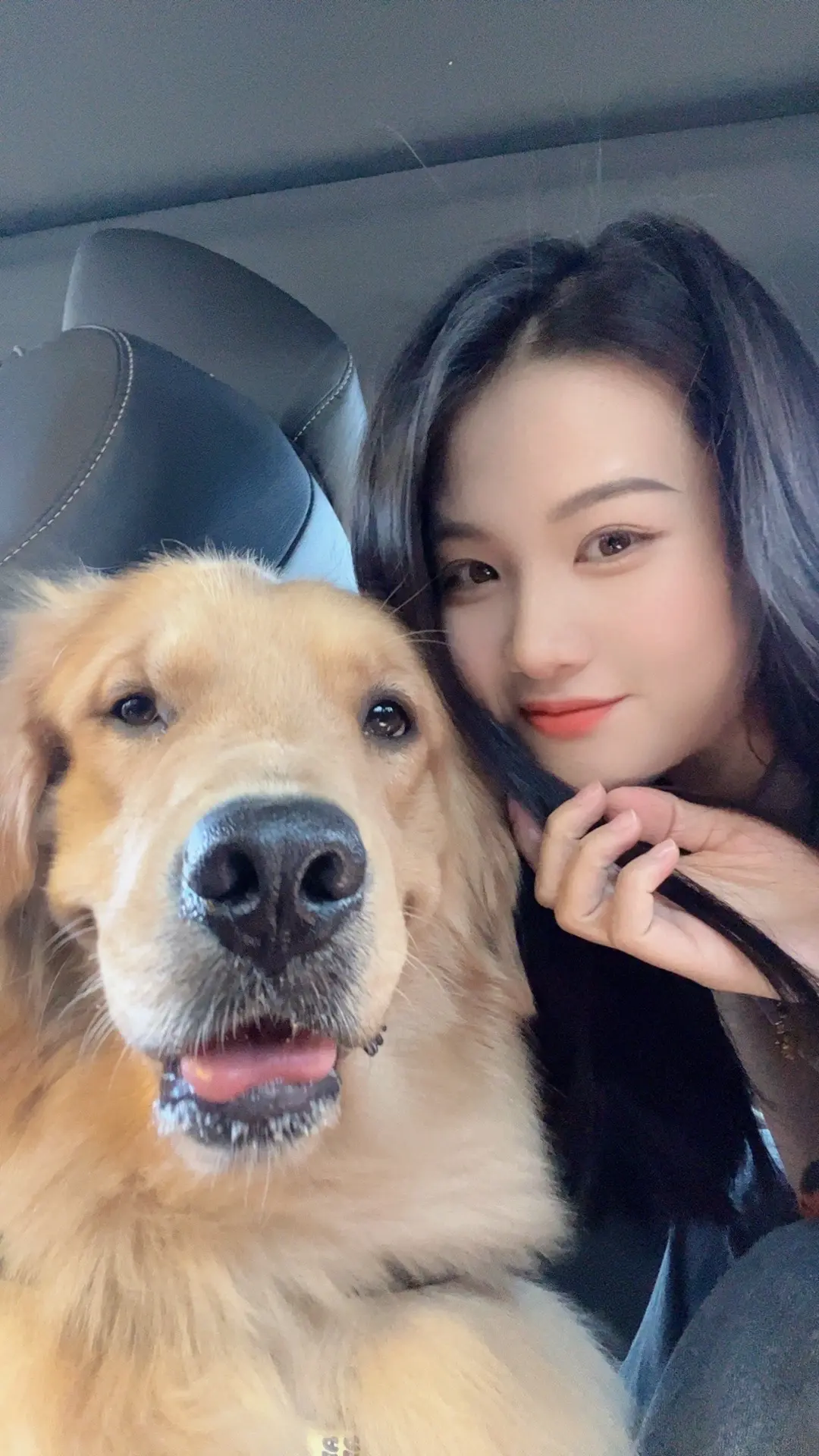 狗狗真的会治愈你