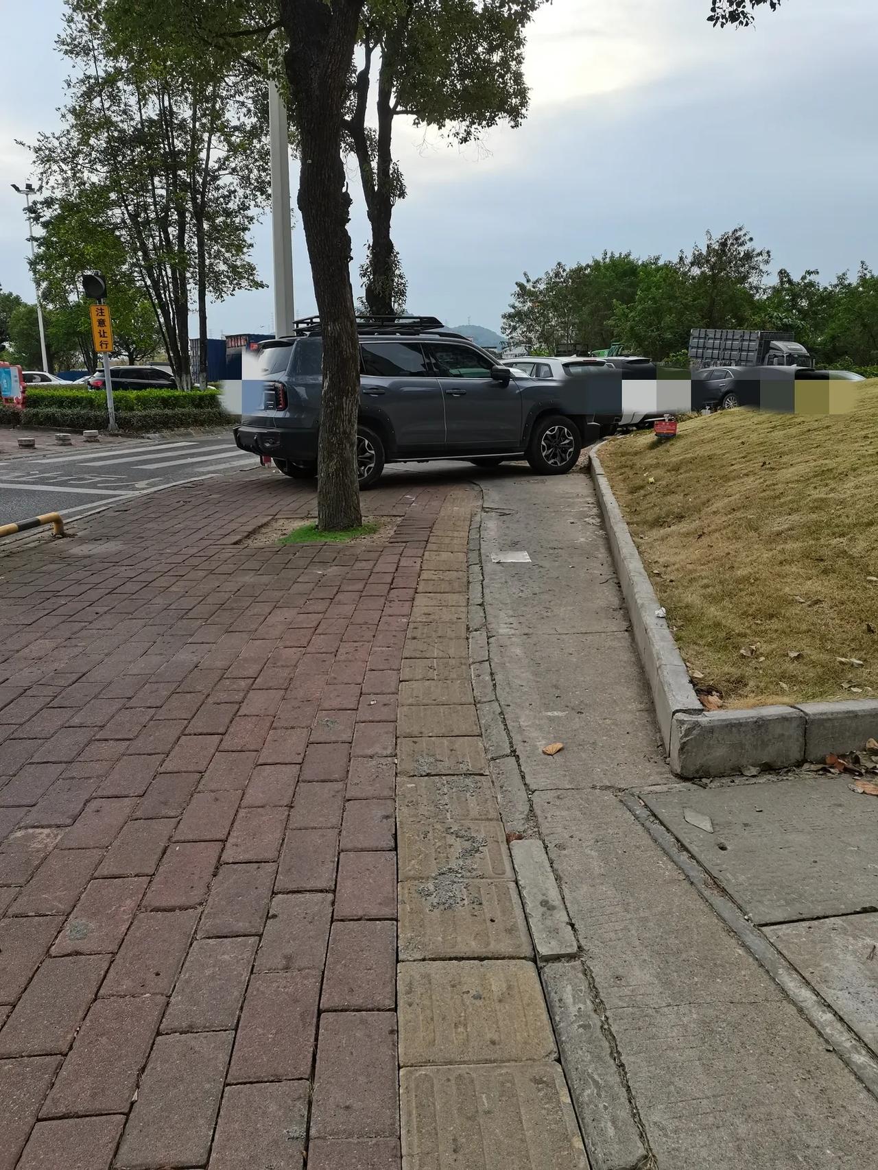 为了省一点停车费，连最基本的道德底线都没有了，不仅是占了盲道，而且还占据了整条人
