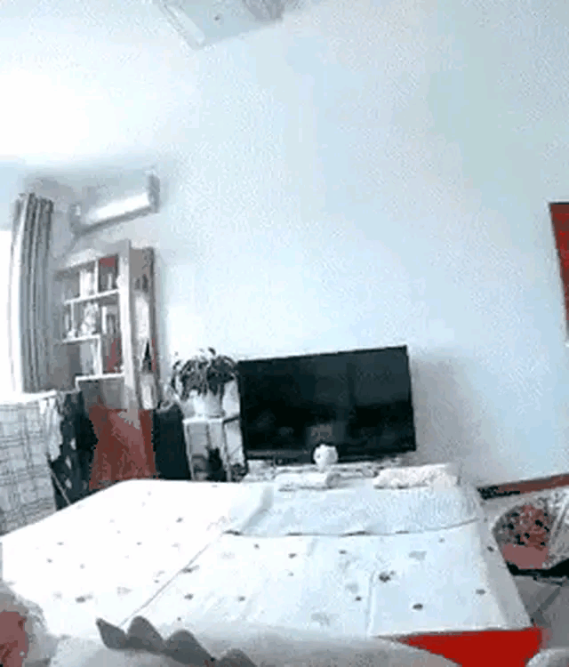 我感觉它好像在擦屁股啊！