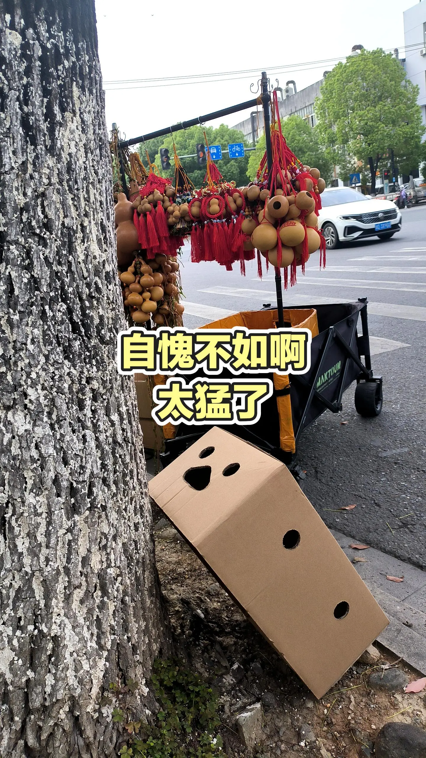 每日分享