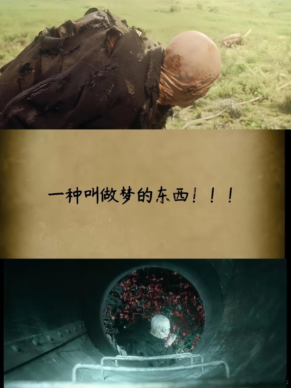   《狂野时代》色彩美学封神！棕褐复古调碰撞炽烈红，光影藏情绪，大银幕看更具沉浸