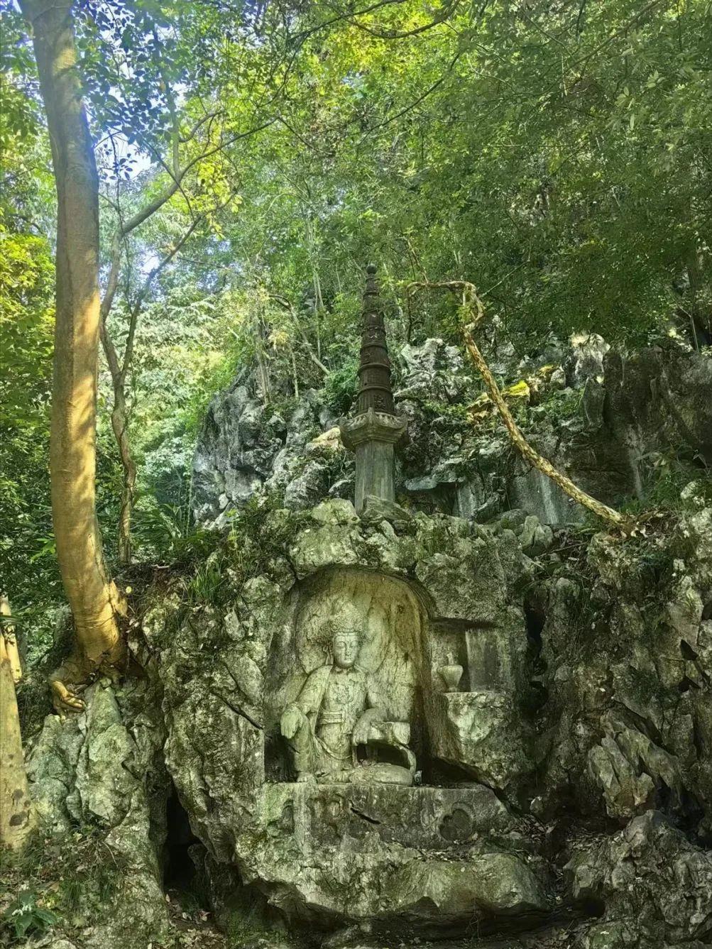 亏妻者百财不入？发生在我朋友身上的真事，一定要看

今天我来和大家分享一个真实的