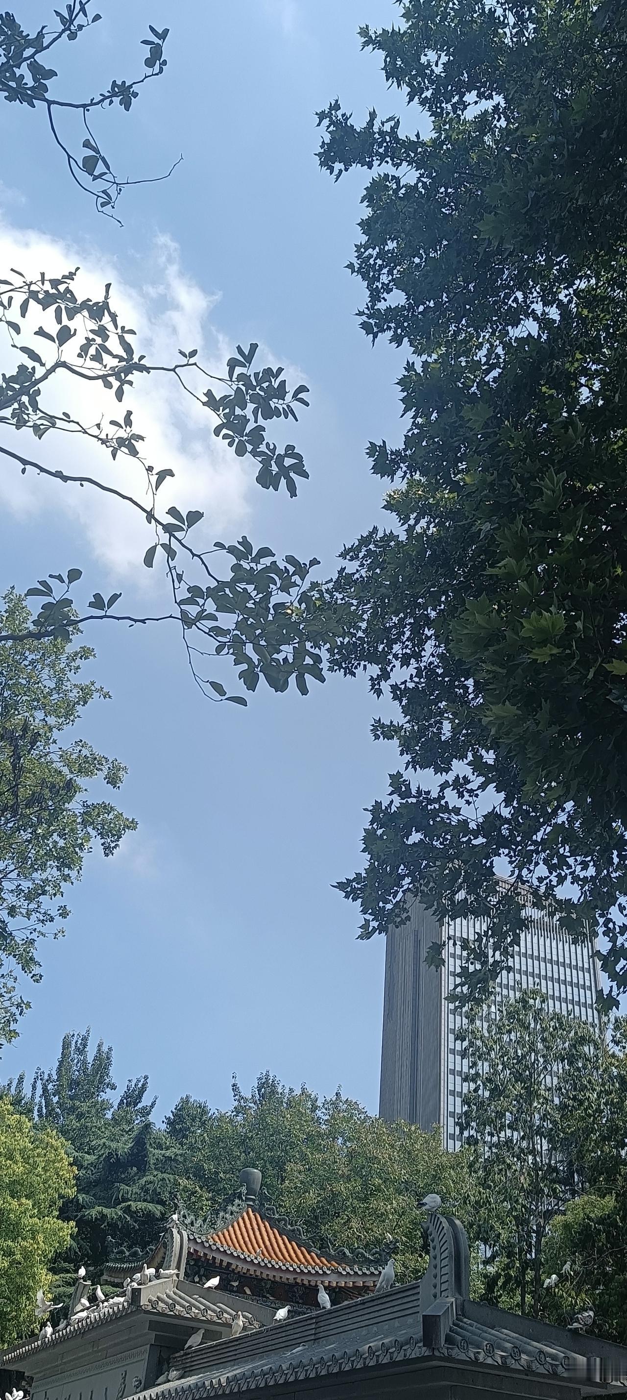 这么热的天你在哪里吹空调？