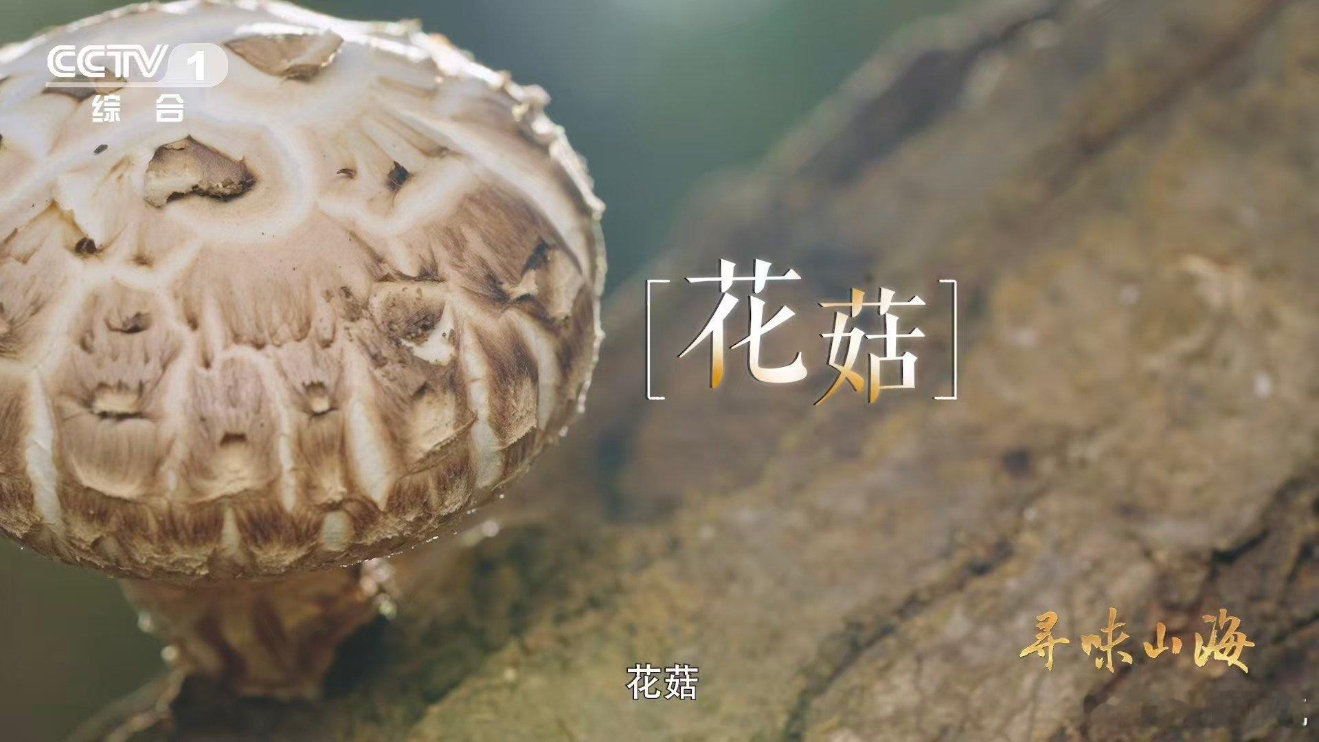 干香菇鲜香菇哪个更好吃一种花菇可以有两种味道要是你钟情于清新爽口的口感，鲜食的随