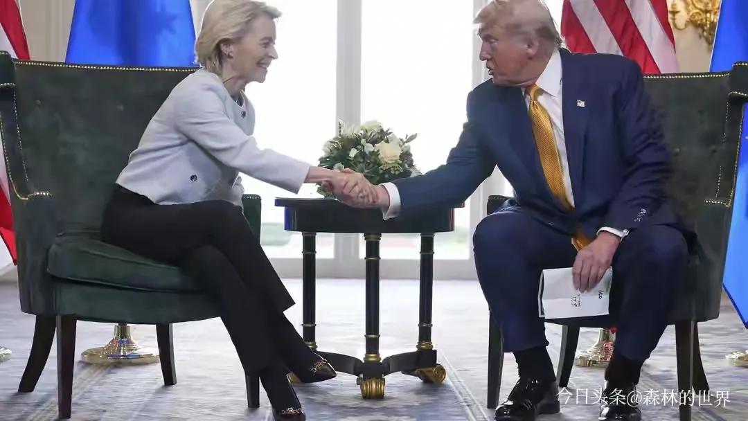 冯德莱恩也表态，美国和欧盟达成了贸易协议，统一关税15%。这协议能稳定市场。
可