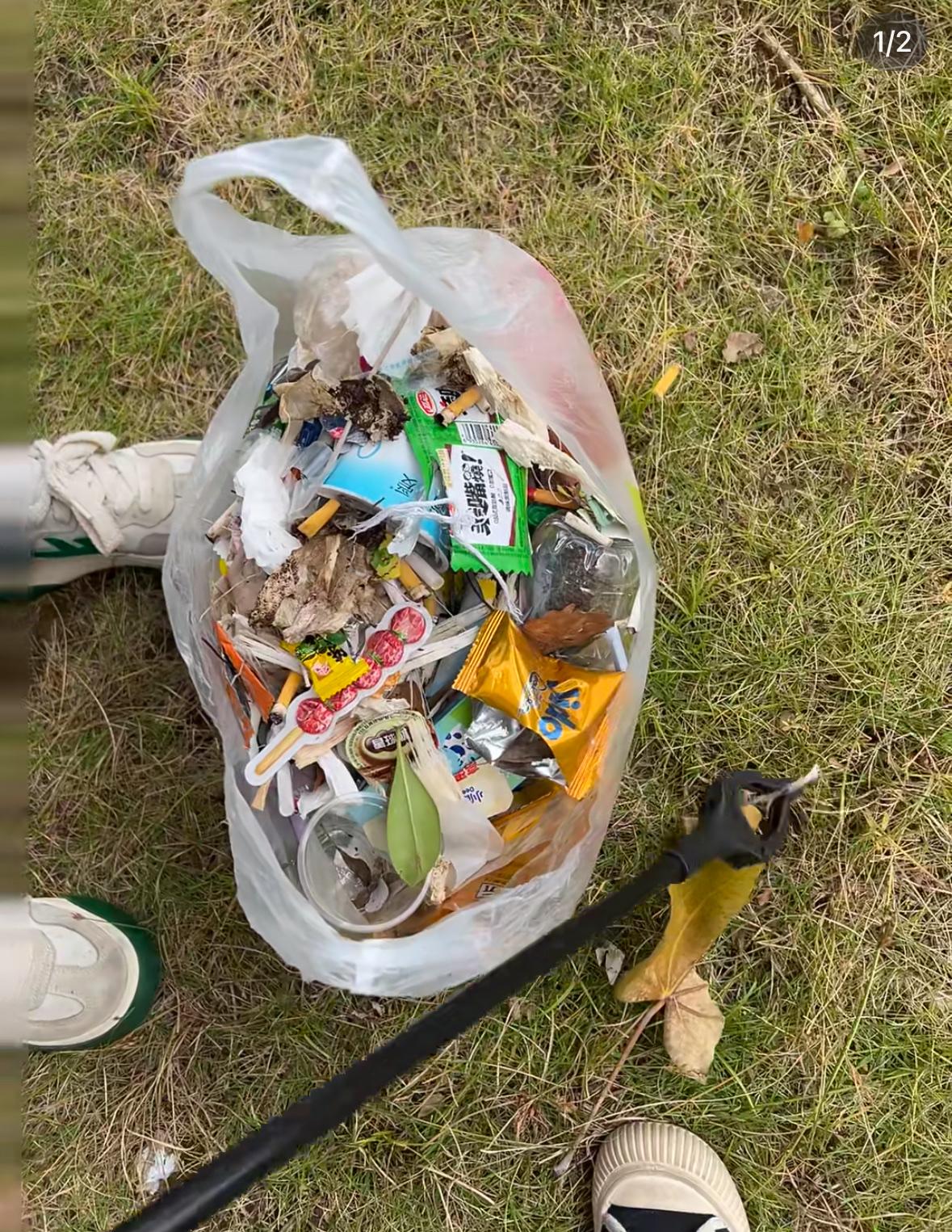 这不仅能开阔视野，还能增强责任感与独立能力。

在真实情境中，孩子可以学会与人沟