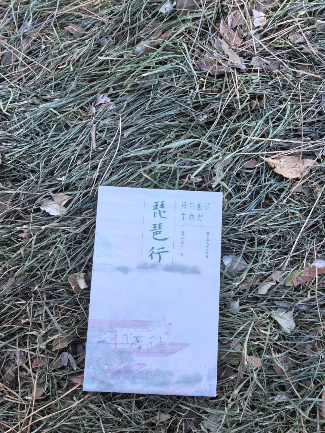 《琵琶行》：一次跨越历史与艺术的对话