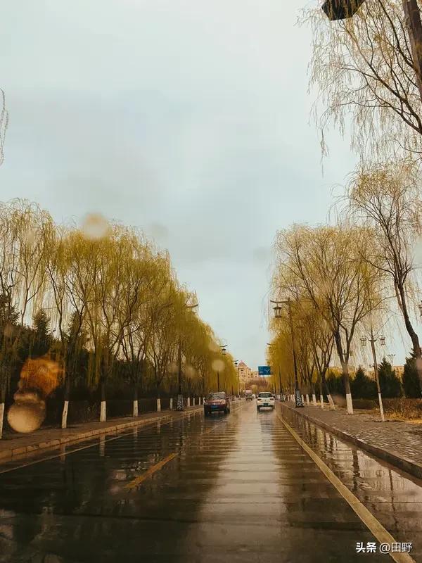 清明的雨

清明又到了，雨丝细细密密地落下来，像是谁在轻轻叹息。我站在窗前，看着