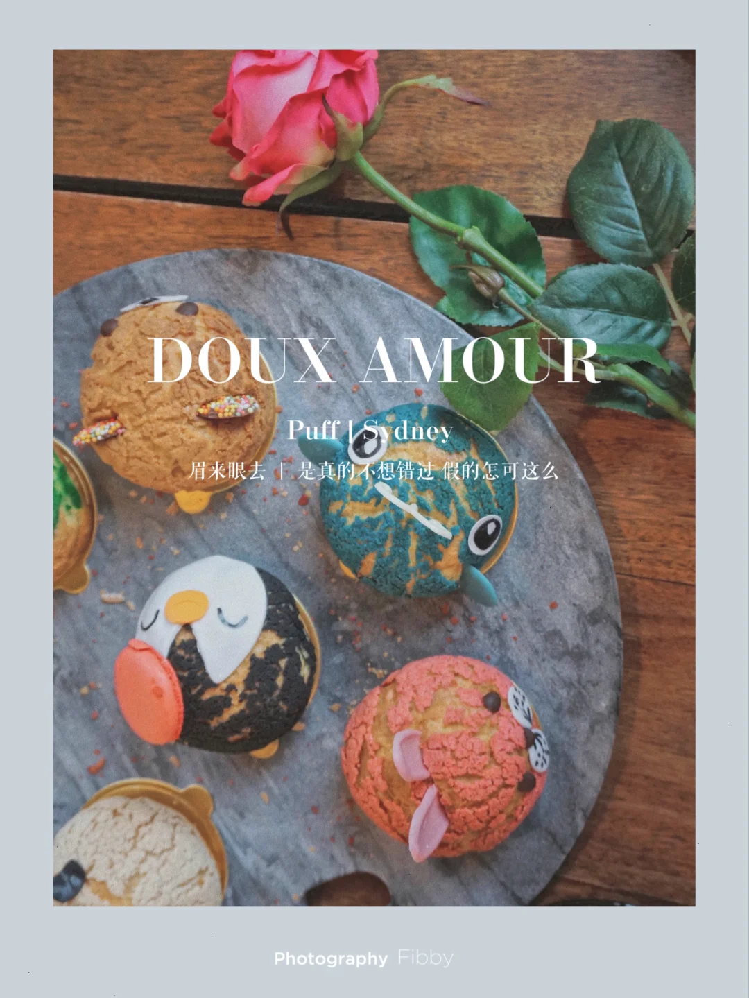 悉尼美食探店｜15款史上最可爱宠物泡芙❗️